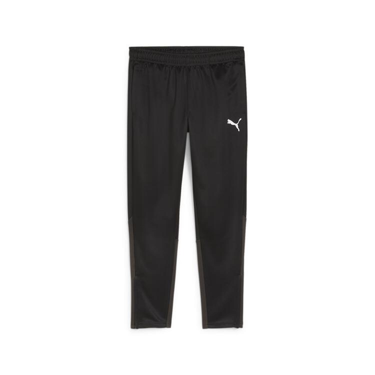 Puma teamGOAL Trainingshose 658639