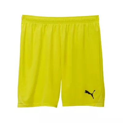 Puma teamGOAL Shorts 705752