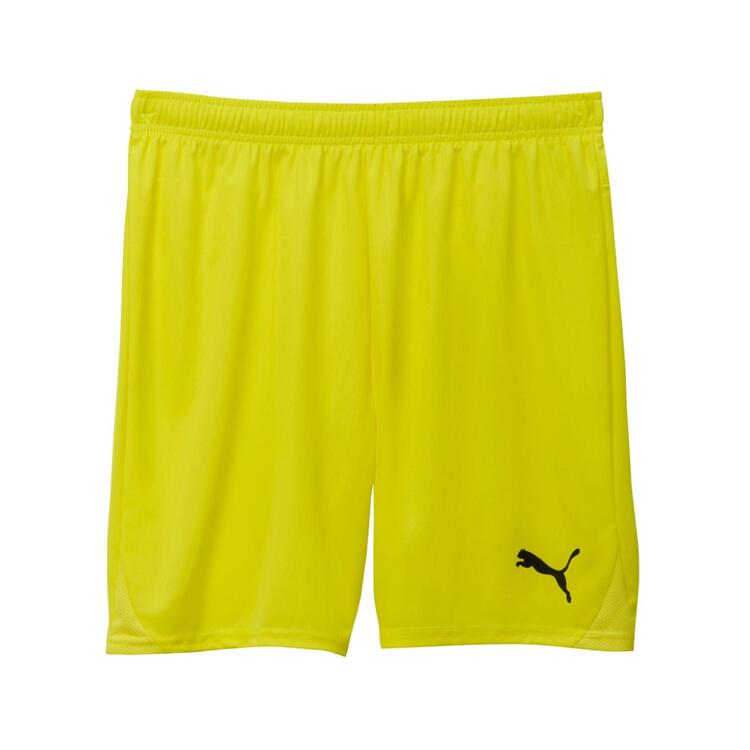 Puma teamGOAL Shorts 705752