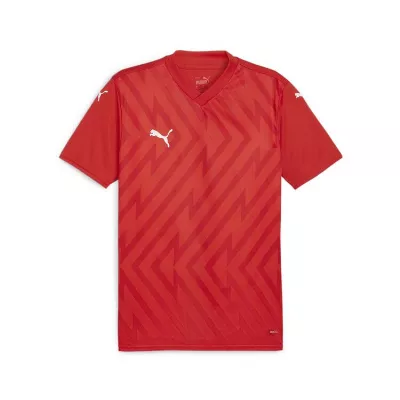 Puma teamGLORY Jersey v24 705740