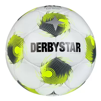 Derbystar Brillant TT AG v25 Trainingsball 112051