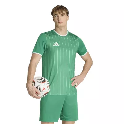 adidas Entrada 26 Graphic Trikot