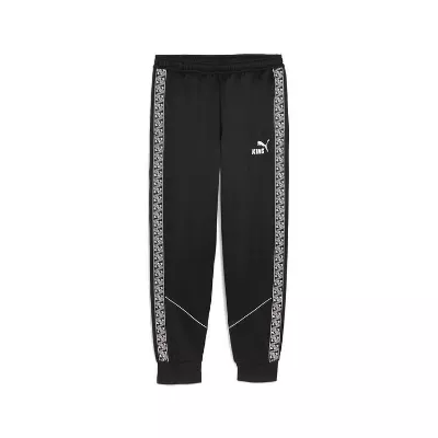 Puma TeamKING Anthem Trainingshose 660535
