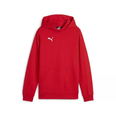Puma teamGOAL Casuals Hoody Kinder 658619