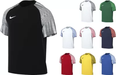 Nike Academy Trikot Herren DH8031