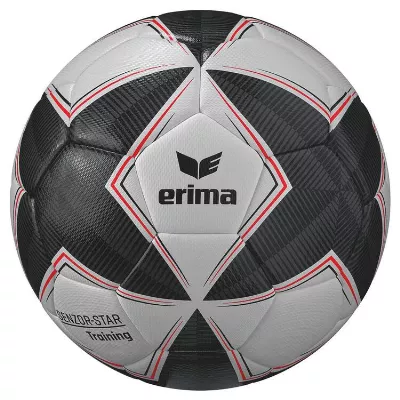 Erima Senzor Star Trainingsball
