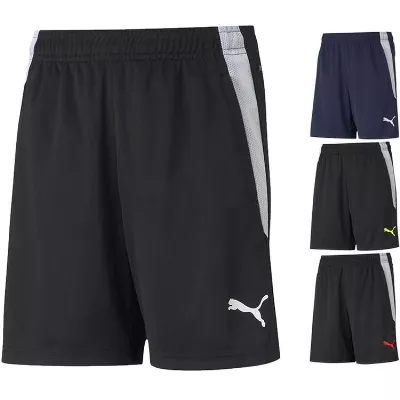 Puma teamLIGA Training Shorts Kinder 657250