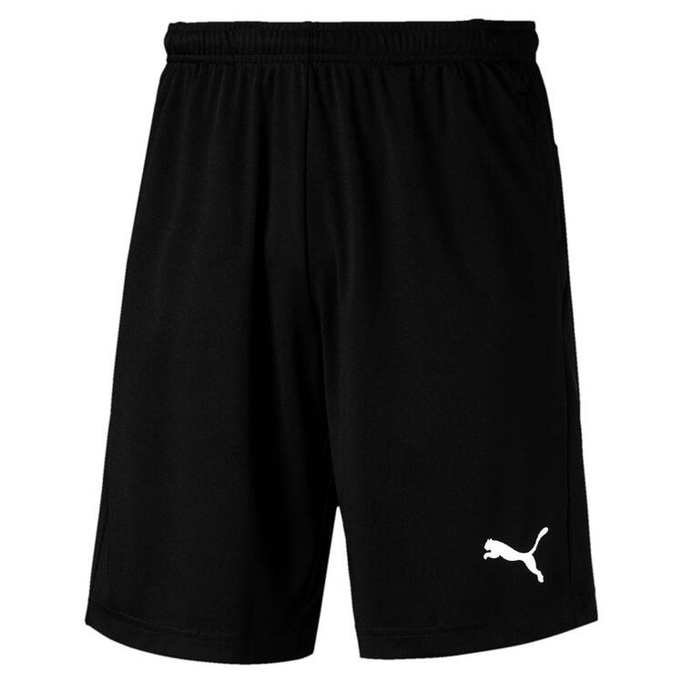 Puma LIGA Training Shorts 655316