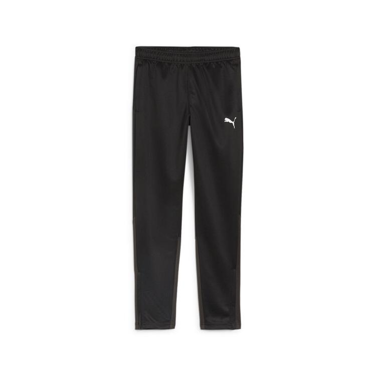 Puma teamGOAL Trainingshose Kinder 658641
