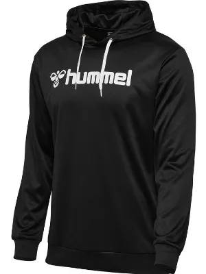 hummel Logo Hoody 226165