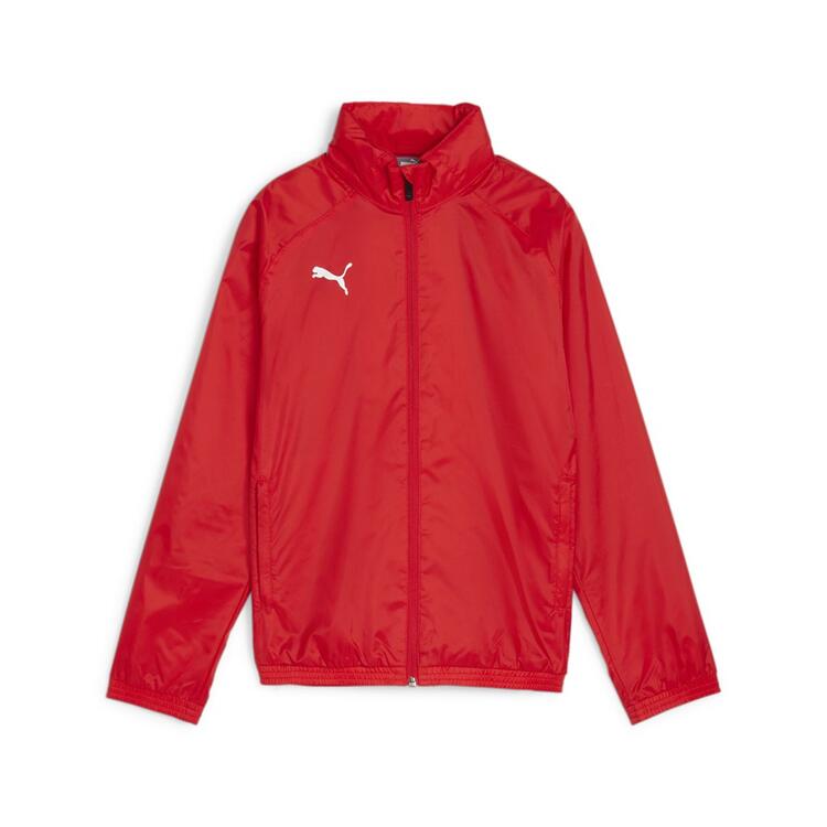 Puma teamGoal Allwetterjacke Kinder 659045