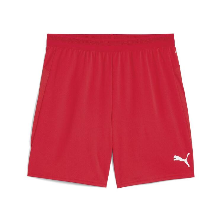 Puma TeamCUP Shorts 706275