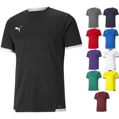 Puma teamLIGA Trikot 704917