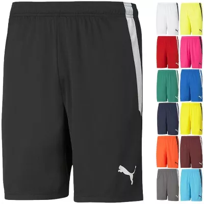 Puma teamLIGA Shorts 704924