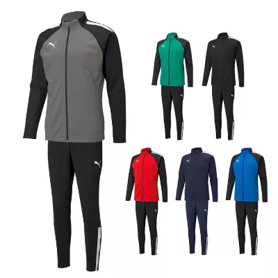 Puma teamLIGA Trainingsanzug Kinder 657235-657243