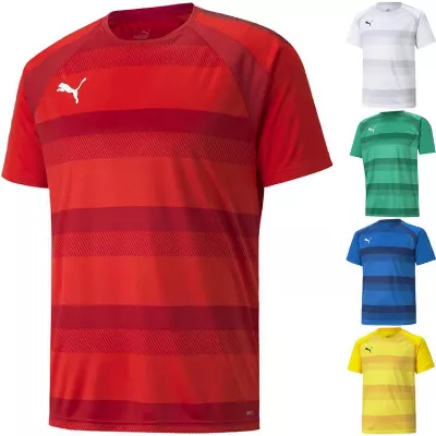 Puma teamVISION Trikot 704921
