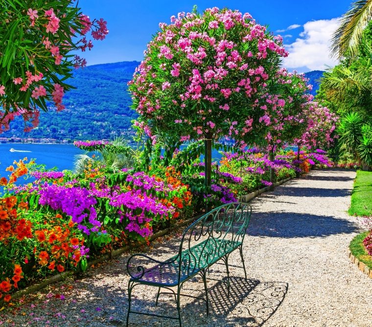 Lago Maggiore – Frühling
