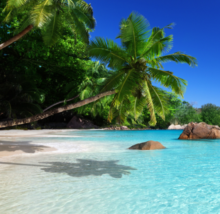 Traum-Kombi/Seychellen: 13 Tage Deluxe Segelkatamaran & Inselresort im Indischen Ozean