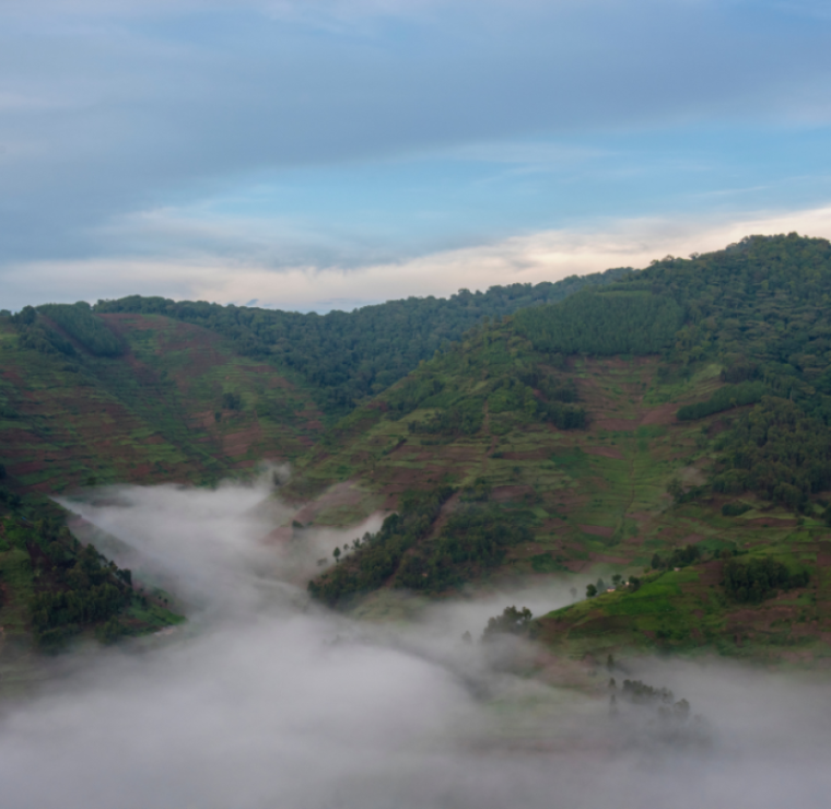 Bus-Rundreise/Afrika: 14 Tage Uganda – Im Land der Berggorillas und Schimpansen