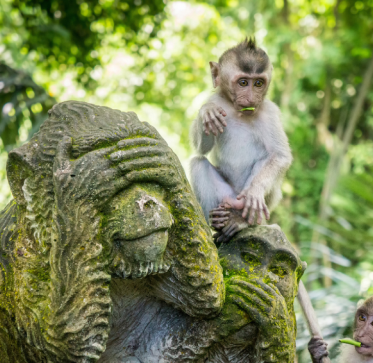 Traum-Kombi/Indonesien: 10 Tage Best of Bali & Baden Deluxe