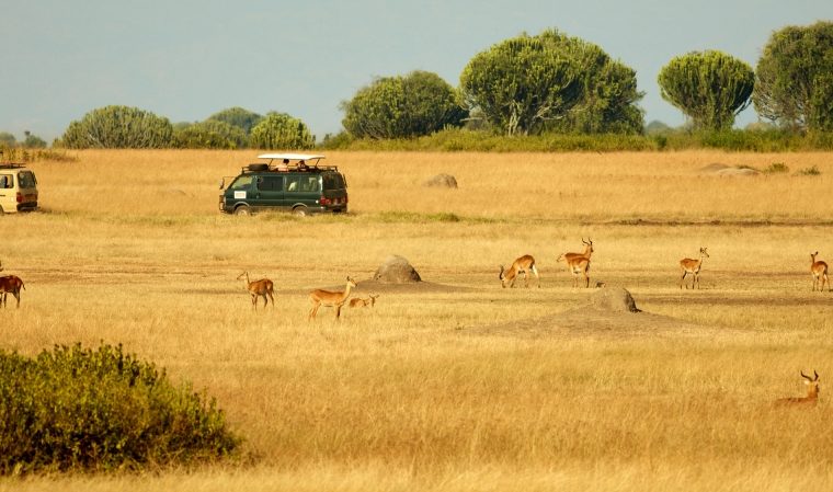 Uganda