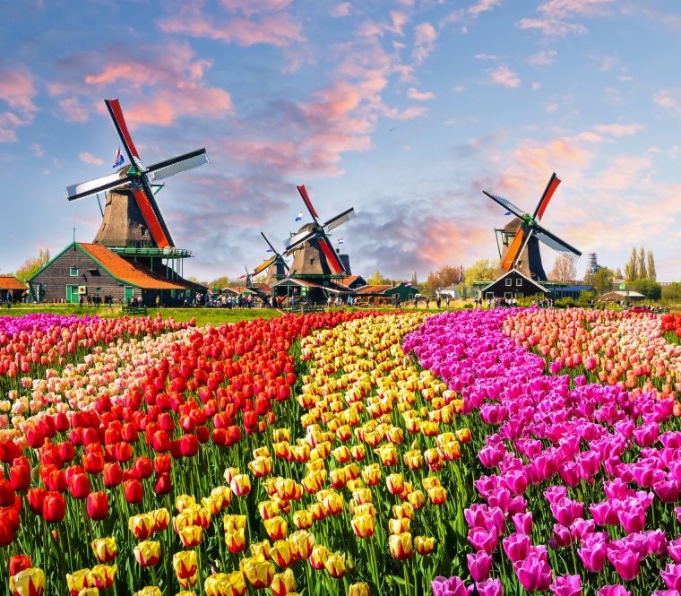 Holland KF