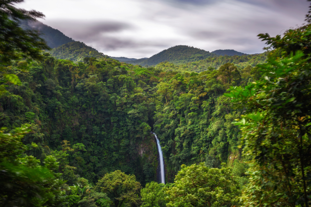 Bus-Rundreise/Costa Rica: 14 Tage Im Reich von Tukanen, Faultieren und Traumstränden
