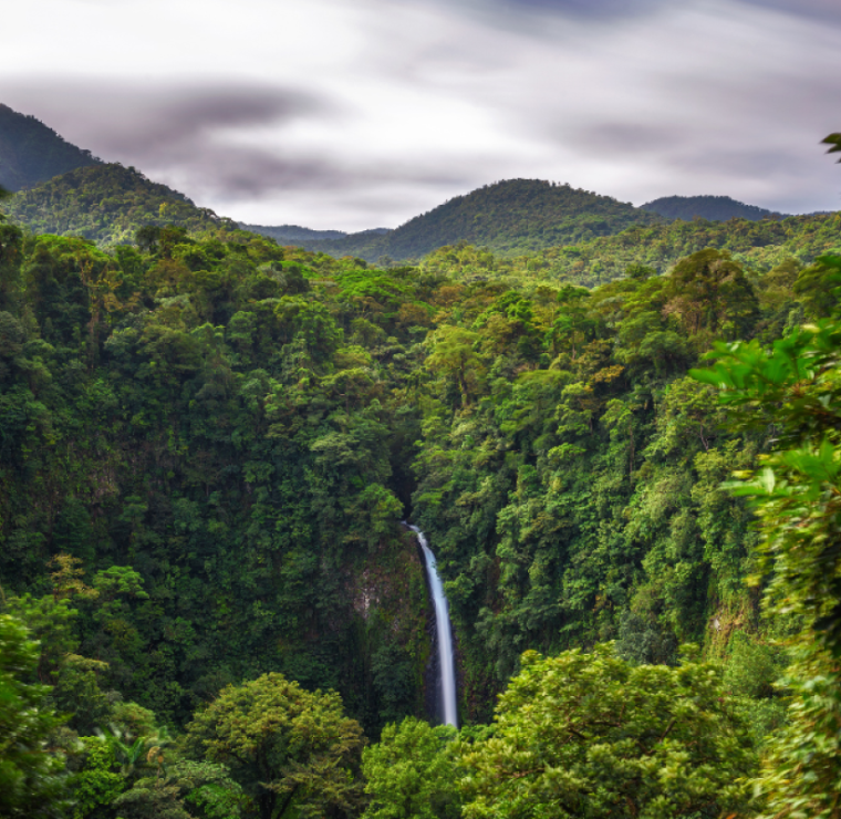 Bus-Rundreise/Costa Rica: 14 Tage Im Reich von Tukanen, Faultieren und Traumstränden